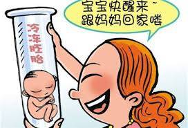 供卵试管服务